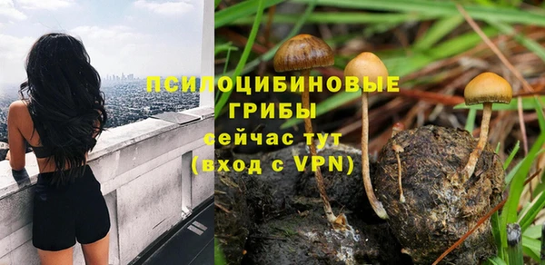 стафф Балабаново