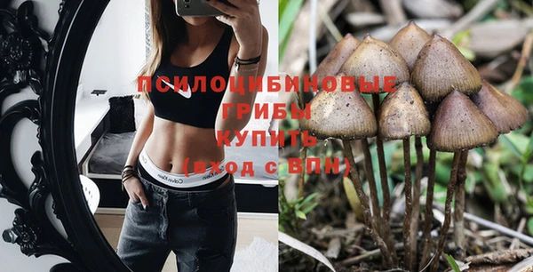 стаф Балахна