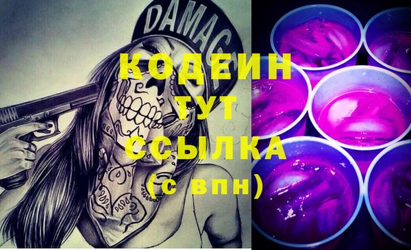 стаф Балахна