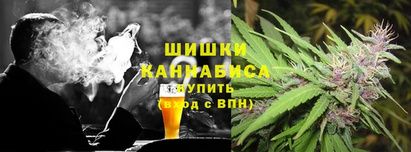 стаф Балахна