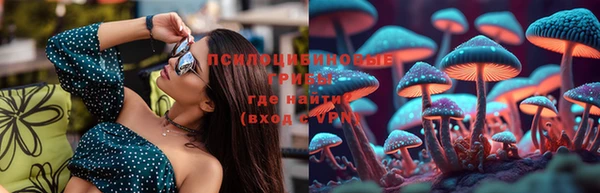 стаф Балахна