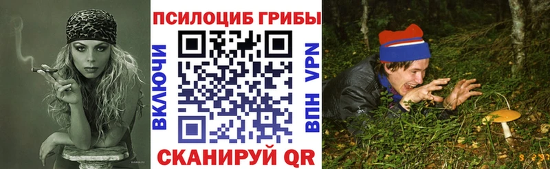 Псилоцибиновые грибы MAGIC MUSHROOMS Гаджиево