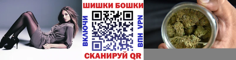 где купить наркоту  Гаджиево  Шишки марихуана планчик 